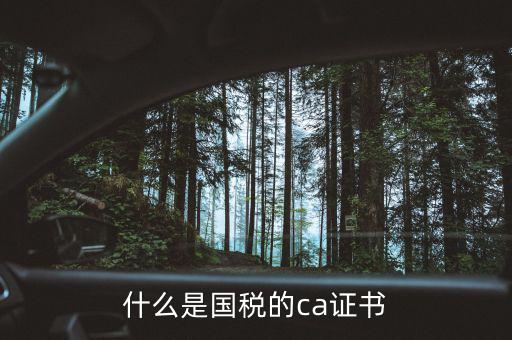 ca稅務(wù)數(shù)字證書(shū)是什么，什么是國(guó)稅的ca證書(shū)