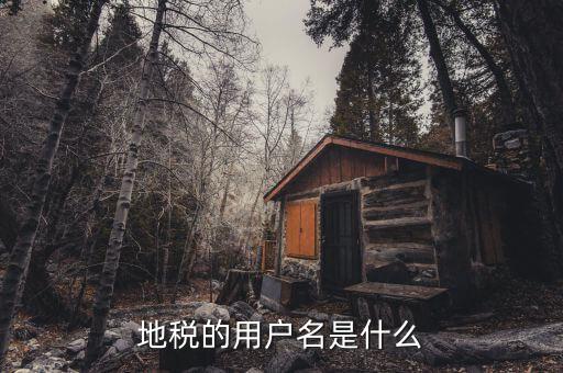 河北地稅申報用戶名是什么，地稅的用戶名是什么