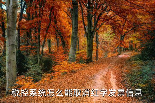 撤銷紅字信息表需要什么，我是購(gòu)貨方開(kāi)具紅字信息表錯(cuò)誤去稅務(wù)局撤銷信息表查看描寫(xiě)