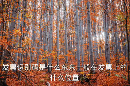 河北發(fā)票識別碼是什么意思，發(fā)票的識別碼是不是繳稅單位的稅號