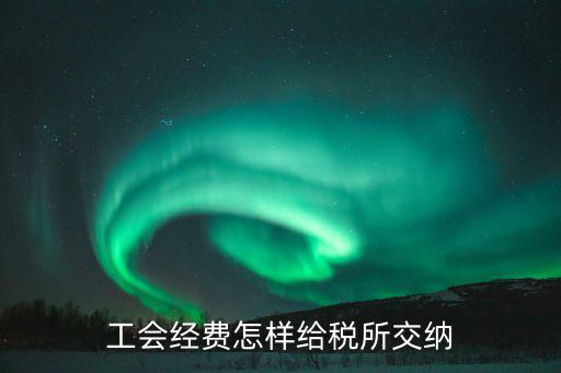 工會(huì)經(jīng)費(fèi)按什么稅繳納，工會(huì)經(jīng)費(fèi)怎樣給稅所交納