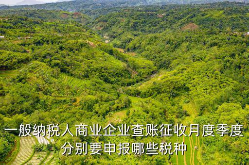 一般納稅人商業(yè)企業(yè)查賬征收月度季度分別要申報哪些稅種