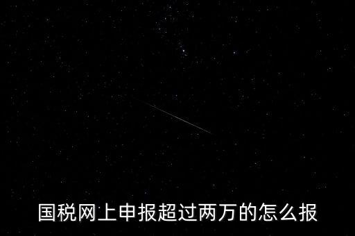 國稅網(wǎng)報入口是什么，怎樣才能進入小規(guī)模納稅人增值稅網(wǎng)上申報系統(tǒng)