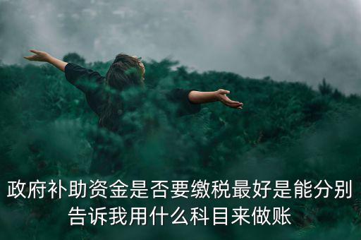 政府補(bǔ)貼交什么稅，關(guān)于政府補(bǔ)助的納稅問題 請高手來回答啊 謝謝