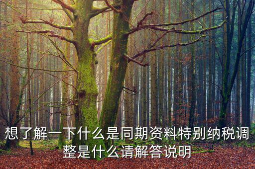 關(guān)聯(lián)申報同期資料是什么，想了解一下什么是同期資料特別納稅調(diào)整是什么請解答說明
