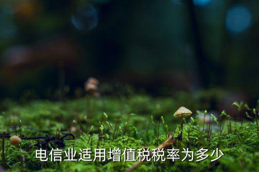 電信服務(wù)什么時(shí)候繳納增值稅，電信業(yè)適用增值稅稅率為多少
