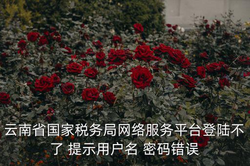 云南稅控服務(wù)平臺(tái)的網(wǎng)址是什么，云南國(guó)稅開(kāi)票系統(tǒng)網(wǎng)址