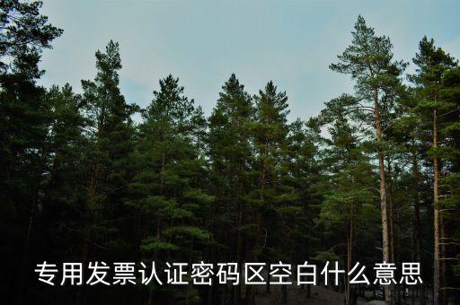 河南發(fā)票密碼是什么意思，專用發(fā)票認(rèn)證密碼區(qū)空白什么意思