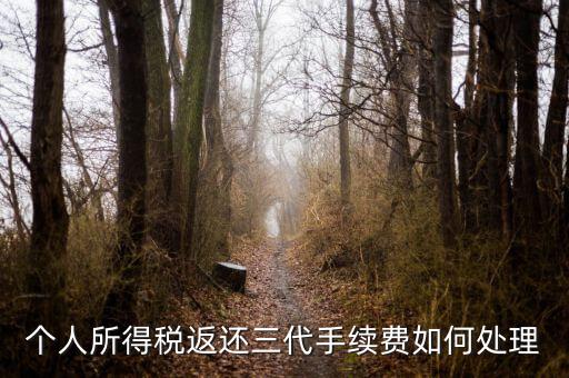 地稅局的退付三代手續(xù)費(fèi)是什么意思，三代手續(xù)費(fèi)返還該計(jì)入什么科目