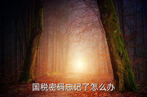 國稅局重置密碼需要帶什么資料，國稅修改過登錄密碼 又忘記了怎么辦