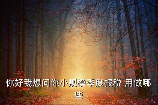 你好我想問你小規(guī)模季度報稅 用做哪些