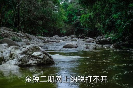金稅門戶為什么打不開，金稅三期網(wǎng)上納稅打不開