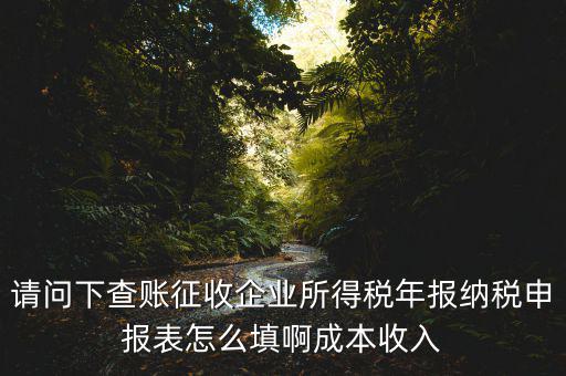 企業(yè)所得稅申報(bào)查賬是什么表，剛注冊了一個(gè)小規(guī)模的公司企業(yè)所得稅是查帳征收企業(yè)所得稅報(bào)表