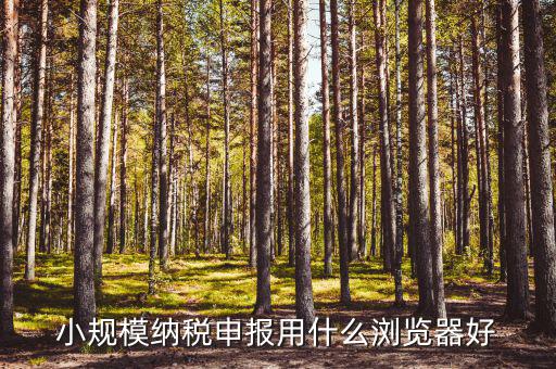 國稅申報表用什么閱讀器打開，如何查看國稅申報樹形報表