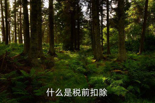 什么是所得稅前扣除，什么是稅前扣除