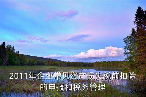 什么是資產損失屬于清單申報，資產損失稅前扣除什么是清單申報專項申報