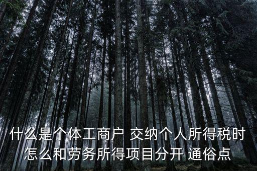 什么叫個(gè)體工商戶經(jīng)營所得，個(gè)體工商戶的生產(chǎn)經(jīng)營所得是指什么