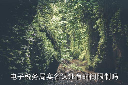 電子稅務(wù)局實(shí)名認(rèn)證有時間限制嗎