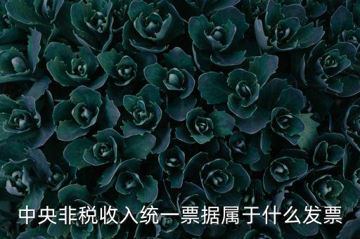非稅發(fā)票是什么，中央非稅收入統(tǒng)一票據(jù)屬于什么發(fā)票