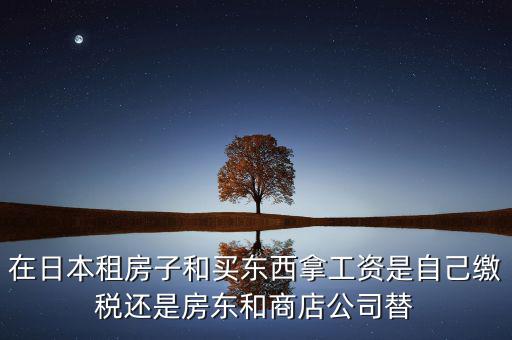 日本租稅法是什么稅，在日本租房子和買東西拿工資是自己繳稅還是房東和商店公司替