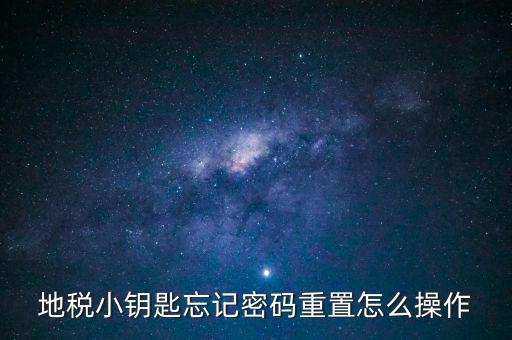 地稅密碼重置需要什么，地稅網(wǎng)上納稅申報密碼忘記了