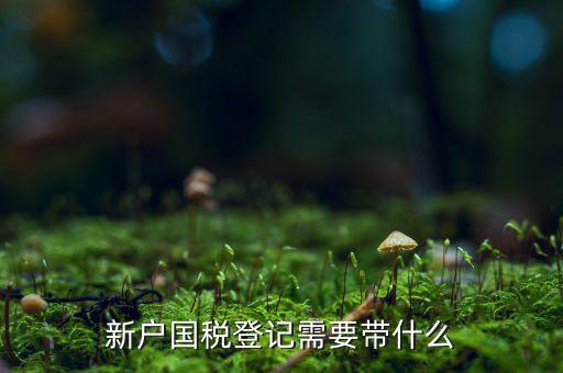 稅務(wù)新開戶需要帶什么東西，新戶國(guó)稅登記需要帶什么