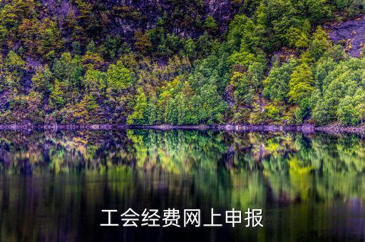 工會(huì)經(jīng)費(fèi)在什么地方申報(bào)，有關(guān)工會(huì)經(jīng)費(fèi)申報(bào)的問(wèn)題