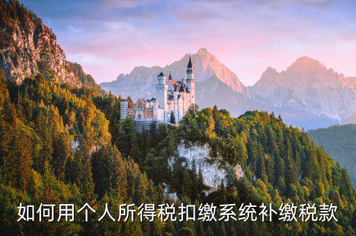 個(gè)人所得稅用什么系統(tǒng)，個(gè)人所得稅代扣代繳系統(tǒng) 支持Windows7 嗎