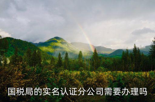 四川國(guó)稅局實(shí)名認(rèn)證需要什么手續(xù)，在國(guó)稅局辦理法人實(shí)名制認(rèn)證要帶什么材料