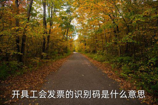 河北省發(fā)票識別碼是什么意思，開票方識別號是什么意思