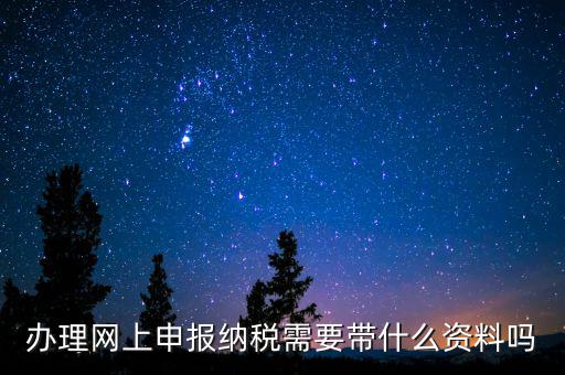 辦理網上申報納稅需要帶什么資料嗎