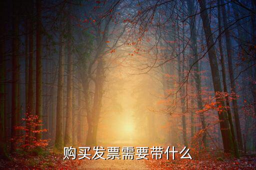 長(zhǎng)春購(gòu)置發(fā)票需要什么資料，初次購(gòu)買(mǎi)發(fā)票要什么資料