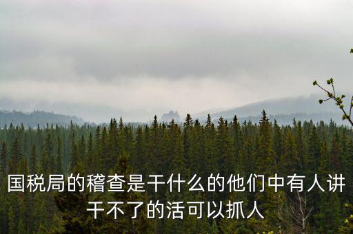 國(guó)稅局查什么的，國(guó)稅局的稽查是干什么的他們中有人講干不了的活可以抓人
