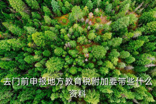 附加稅申報需要什么材料，去地稅局繳納營業(yè)稅金及附加需要帶什么資料