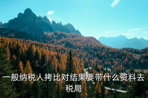 去稅務(wù)拷初始化文件帶什么東西，一般納稅人拷比對結(jié)果要帶什么資料去稅局