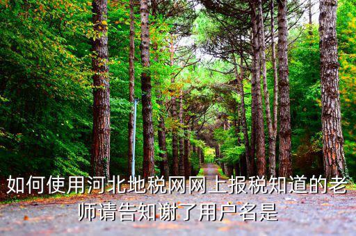 河北省地稅登陸的用戶名是什么意思，在網(wǎng)上報稅登陸時用戶名是什么