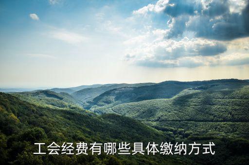 工會(huì)經(jīng)費(fèi)按什么來(lái)預(yù)繳，請(qǐng)問(wèn)工會(huì)經(jīng)費(fèi)怎么繳納