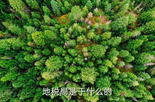 地稅主要負(fù)責(zé)什么工作總結(jié)，地稅局一般做什么工作啊