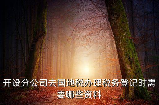 分公司地稅辦理需要什么材料，辦理分公司的稅務(wù)登記證需要準(zhǔn)備哪些資料
