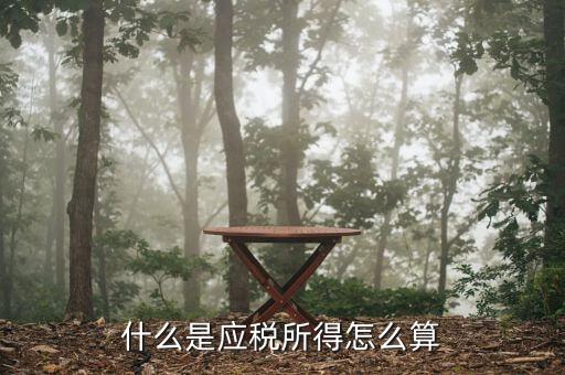 應(yīng)稅所得是什么，什么是應(yīng)稅所得怎么算