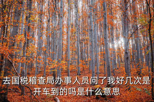 國(guó)稅說(shuō)需要運(yùn)維是什么意思，什么條件需要辦理國(guó)稅我是一個(gè)月收入2千左右的維修小檔口也要輸
