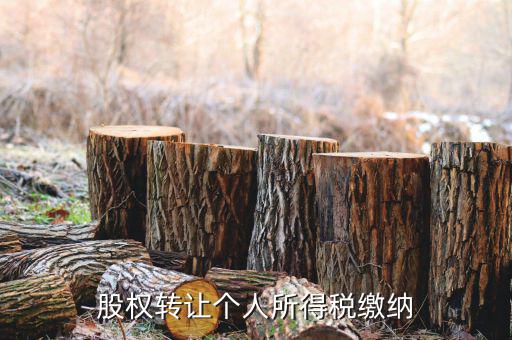 股權(quán)轉(zhuǎn)讓如何繳納個(gè)稅，個(gè)人股權(quán)轉(zhuǎn)讓如何納稅