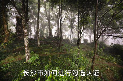 如何進(jìn)行網(wǎng)上勾選，對(duì)方開(kāi)出增值稅專(zhuān)用發(fā)票多長(zhǎng)時(shí)間可以進(jìn)行網(wǎng)上勾選認(rèn)證