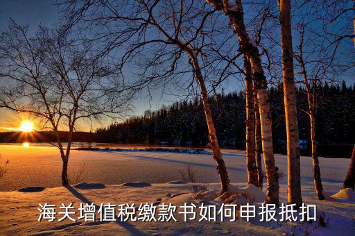 海關增值稅如何抵扣，海關增值稅繳款書如何申報抵扣