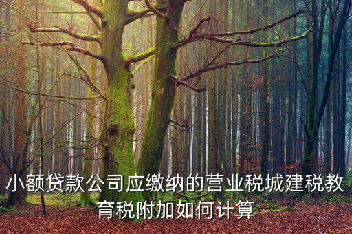 小額貸款公司如何繳稅，小額貸款公司的營業(yè)稅怎么算 sitewenwensosocom
