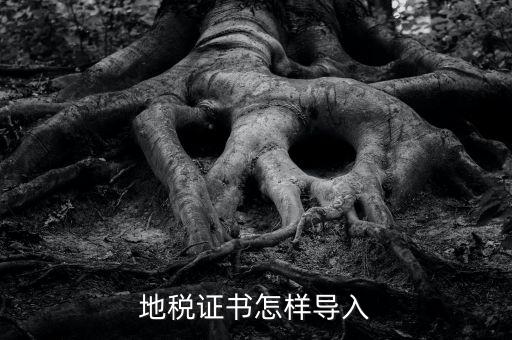如何導(dǎo)入地稅證書，地稅證書怎樣導(dǎo)入