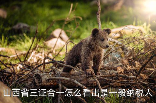 山西省如何查詢納稅人，為什么山西國(guó)稅發(fā)票無(wú)法查詢真?zhèn)?/></a></span><span id=