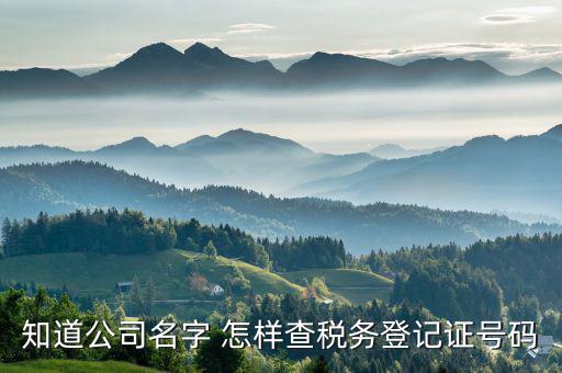 如何查稅務登記證國稅電腦編碼，三證合一后國稅編碼怎么查在線等急
