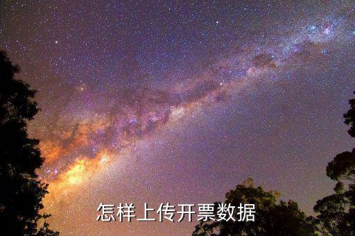 如何上傳進(jìn)項(xiàng)發(fā)票明細(xì)，怎樣上傳開票數(shù)據(jù)
