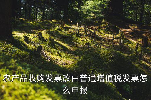 農(nóng)產(chǎn)品收購發(fā)票如何申報，農(nóng)產(chǎn)品收購發(fā)票如何開